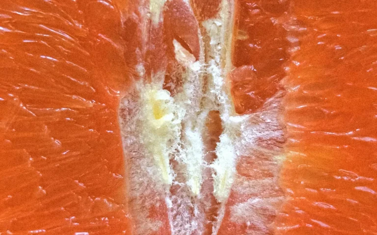 Blood Orange Middle